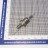 Avalanche diode DL112-25-12