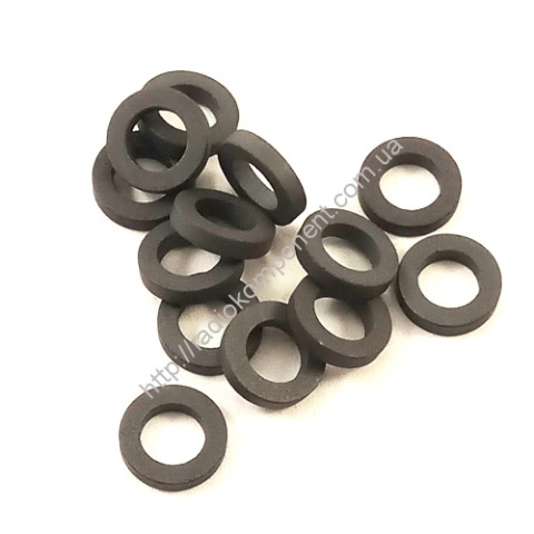 Core M1100NMI 10*6*2 toroidal