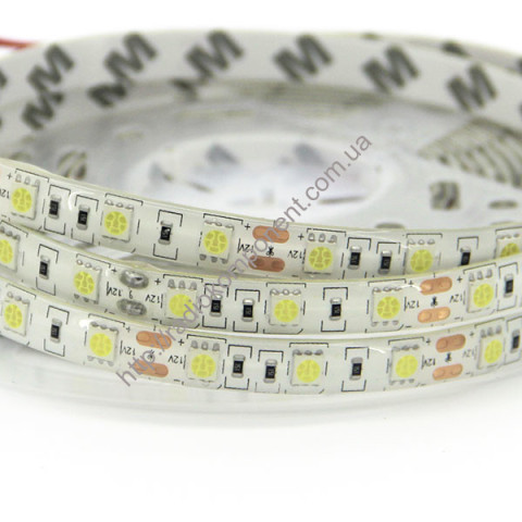 300RF5050-12 smd 5050 IP65 red led strip 1 meter