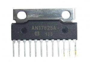 AN17825A