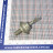 Diode D242